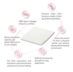 LUOFUCON Perban Kolagen Medis untuk Luka Kronis - Perawatan Ulser Diabetes, Luka Tekan & Ulser Kaki Vena - Product Image 5