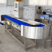 Sorteermachine Voor Sorteermachines Voor Fruitgroenten Aanpassen