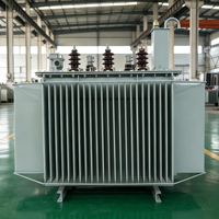 Transformateur de distribution triphasé immergé dans l'huile HDT S20-M 100kVA-315kVA 10kV 480V certifié IEC CE OEM ODM Moyen-Orient