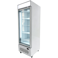 Congélateur vertical Kenkuhl SD420 à porte simple, congélateur profond vertical pour la présentation de glaces