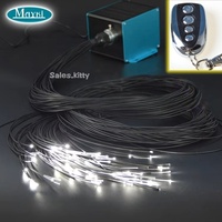 Kit d'éclairage LED RVBW scintillant pour plafond de sauna, avec câble à fibres optiques PMMA à émission latérale BlackJacket