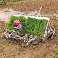 Petite transplanteuse de riz manuelle, plateaux de semis de 7 pouces, haute productivité, marque LX, nouvelle machine de plantation directe du fabricant