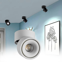 Plafonnier LED encastré 10W, certifié CE BIS, orientable, dimmable, spots LED encastrés