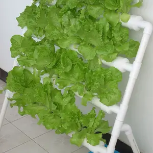 Sistemi di coltivazione di piante da interno facile da appendere in plastica fai da te verticale NFT Hydroponics Gully