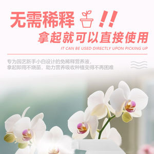 Solution nutritive pour orchidées, une façon facile de faire pousser des orchidées, à utiliser directement, les résultats sont remarquables, le pot est plein de fleurs épanouies - Product Image 4