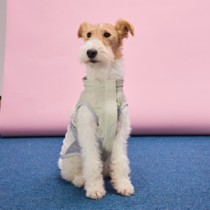 Abbigliamento Personalizzato per Cani all'Ingrosso, Giacca Regolabile Traspirante e Leggera per Bassotto e Cani di Piccola Taglia - Product Image 2