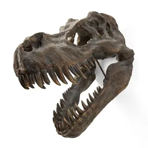 Hars Dier Dinosaurus Schedel Hoofd Model T-Rex Skelet Fossiele Home Decoratie Opknoping