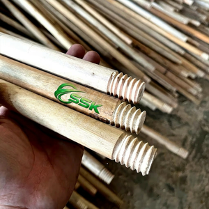 Balai à tête en PVC avec manche en bois de haute qualité, poils rigides, facile à nettoyer, pour usage domestique et extérieur - Product Image 1