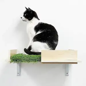卸売カスタムOEM利用可能な木製クライミング棚テーブル屋内猫用アクリルバブルウィンドウ木製壁掛け猫ベッドCNLF