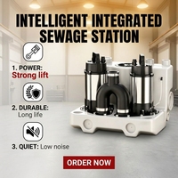 Station de relevage des eaux usées duplex en SUS304 avec macérateur, système à double pompe 20m³/h, hauteur de refoulement 15m pour sous-sols commerciaux et villas