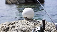Caméra sous-marine CAMORO 4H 100M, détecteur de poissons PowerSeeker, sonar intelligent portable pour la pêche en bord de mer et en bateau