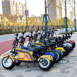 Scooter Eléctrico Citycoco <span class=keywords><strong>2023</strong></span> Más Reciente de 3000W con EEC, Scooter Eléctrico Citycoco con GPS para Europa - Product Image 3