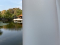 Película de Privacidad Esmerilada de PVC Blanco Mate Moderna y Popular, Rollo Decorativo Adhesivo Estático Opaco para Ventanas, Diseño de 10mil
