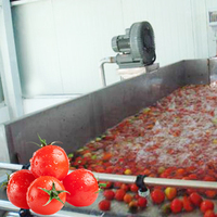 Pâte de tomate industrielle concentré sauce confiture ketchup purée traitement ligne de production faisant la machine usine