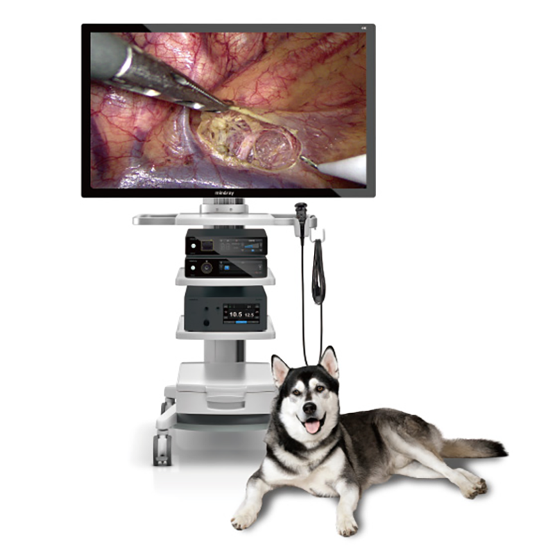 Mindray Vetina CS7 Portable Anesthesia Machine With Compact Design Ideal Veterinary Equipment for Animals