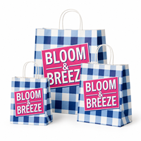 Bolsa de Papel Kraft Ecológica de Lujo con Asa Retorcida, Reciclable, Impresa Personalizada para Pizza, Panadería, Cafetería, Embalaje de Regalos, Venta al Por Mayor, OEM