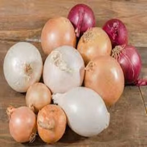 Fourniture du meilleur oignon frais maintenant Prix de gros Qualité exceptionnelle Forme Autriche Origine 25kg Usages multiples Abordabilité élevée C'est - Product Image 4