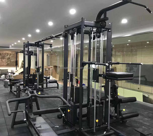 Equipo de gimnasio, 8 estaciones, máquina de jungla múltiple - Product Image 1
