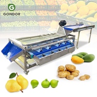 Aardbeien, pruimen, uien, knoflook, guave, mango en groente sorteertafel en sorteermachine voor fruit.
