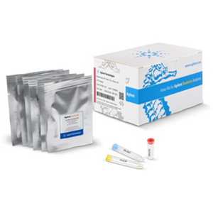 แผ่นไมโครเพลท Agilent RTCA CIM แบบ 16 หลุม ทรงสี่เหลี่ยม ฐานแบน ทำจากพลาสติก PP สำหรับการวิเคราะห์เซลล์ - Product Image 1