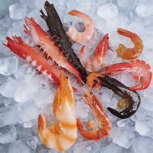 แบบจำลองกุ้งปลอมเหมือนจริง <span class=keywords><strong>ทำ</strong></span>จากพลาสติก สำหรับใช้เป็นตัวอย่างอาหารทะเล เหมาะสำหรับพิพิธภัณฑ์วัฒนธรรมอาหาร การสอน การจัดแสดงบุฟเฟ่ต์ <span class=keywords><strong>ซูชิ</strong></span>บาร์ และการจัดแสดงเมนู - Product Image 1
