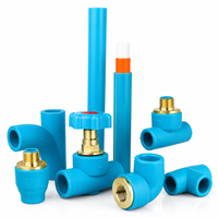 Bouchon de tuyau PPR bleu SETICA, type insert, raccord de fusion pour système de plomberie et de chauffage d'eau chaude et froide