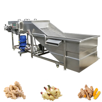 Lonkia Fabriek Aangepaste Productie Industriële Gember Verwerkingslijn Verse Gember Wasmachine
