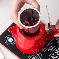 Mini théière blanche avec couvercle en acier inoxydable, bouilloire en céramique en forme de bosse avec passoire et infuseur