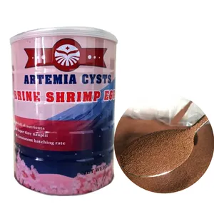Artemia kista udang air asin telur untuk makanan ikan kecil diskon besar tingkat penetas tinggi untuk makanan ikan discus sangat bergizi f