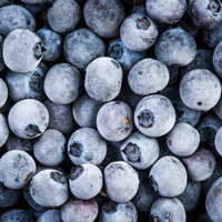 Haute qualité nouvelle saison myrtille fruits myrtille congelée myrtille sauvage bleuets compliments myrtilles congelées