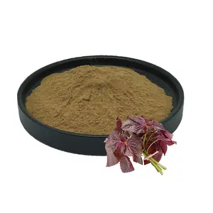 Sclareolide Perilla Leaf Extract Perillae Extract Powder