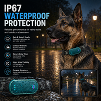 Système de localisation sans fil Qcool pour animaux de compagnie, outil anti-perte avec contrôle de localisation, collier GPS lumineux LED pour animaux de compagnie pour la promenade en extérieur