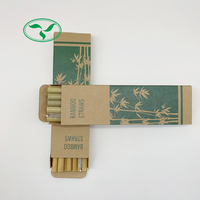 Pailles à boire biodégradables en bambou avec boîte en Kraft, 10 pièces