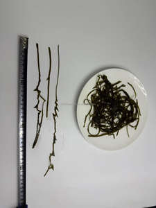 สาหร่ายทะเลยาวแห้ง2025 - Product Image 4
