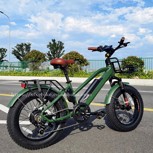 Expédition rapide Vélo électrique pour enfants de <span class=keywords><strong>20</strong></span> <span class=keywords><strong>pouces</strong></span> Pneu gras Step Thru E-Bike 48V 750W Vélo électrique pour enfants Vélo de ville électronique - Product Image 5