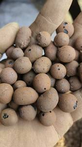 Bolas de Arcilla Hidropónica Shengping de 8-10 mm, Piedras de Arcilla Leca para Jardinerí<span class=keywords><strong>a</strong></span> y Plantación, Previenen la Podridad de Raíces y Retienen el <span class=keywords><strong>Agua</strong></span> - Product Image 4