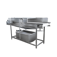 RVS Elektrische Hydrojetter Fruit- en Groentewasmachinepomp met Hoge Efficiëntie Spuitfunctie voor Appels, Peren, Wortelen