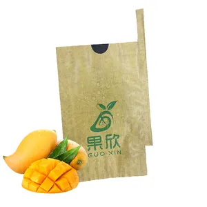 Sac en papier de protection de mangue enduit de cire de carbone personnalisé à bas prix pour fruits en Thaïlande