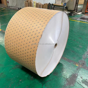 Papier PE, rouleau de papier enduit de PE pour gobelets en papier, nouveau produit 2026 - Product Image 1