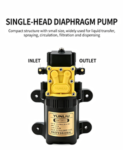 <span class=keywords><strong>Pompe</strong></span> à diaphragme haute pression 12V, <span class=keywords><strong>pompe</strong></span> à <span class=keywords><strong>eau</strong></span> avec interrupteur de pression intelligent Yunliu <span class=keywords><strong>pour</strong></span> la pulvérisation agricole - Product Image 3