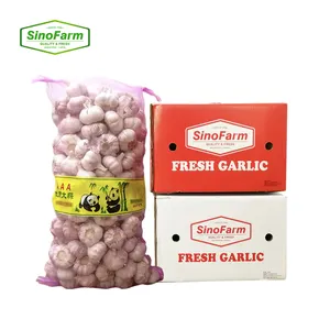 Fresh white garlic normal 2023 crop normal white and pure white ali with best garlic price from Chinese supplier