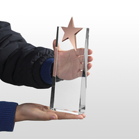 Trophée en verre personnalisé avec étoile en métal MH-NJ00353, cadeau souvenir, trophée en verre