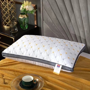 Collection d'hôtels de luxe <span class=keywords><strong>Paris</strong></span> 5 étoiles 800G oreiller en polyester magique solide sommeil confort soutien du cou 200TC Hilton vente en gros - Product Image 2