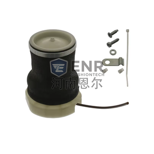 OE No. 5001836461 ammortizzatore sospensioni Jackie parti durevoli nuovissime parti <span class=keywords><strong>originali</strong></span> di personalizzazione per RENAUL T - Product Image 4