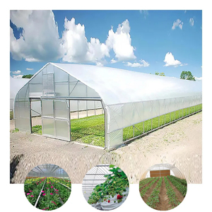 Invernadero Agrícola con Paneles Solares Góticos de Película de Polietileno con Control Climático, Fabricantes Profesionales Chinos - Product Image 5