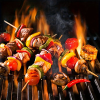 Brochettes jetables en bambou carbonisé, résistantes au micro-ondes, biodégradables, qualité professionnelle pour barbecue, satay, kebabs, oden, hawthorns confits