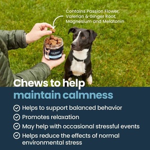 Golosinas Masticables Calmantes de Cáñamo Natural y Melatonina OEM ODM, Máxima Potencia, para Perros y Gatos, para la Ansiedad Ocasional - Product Image 2