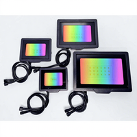 Projecteur LED étanche pour extérieur, 10W 20W 30W 50W 24V RGB WS2811, source de lumière à points pixel pour l'éclairage des murs et des arbres