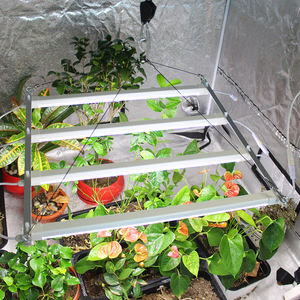 Figolite T5 Lm301h Evo Led Grow Light Tube 2ft 4 pcs/set 48W pour Veg Laitue Chou - Product Image 6