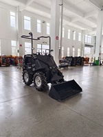 Haute Qualité Euro 5 CE EPA Chinois Petit Mini Sit-on Skid Steer Loader 200kg Mini Sit-on Wheel Loader